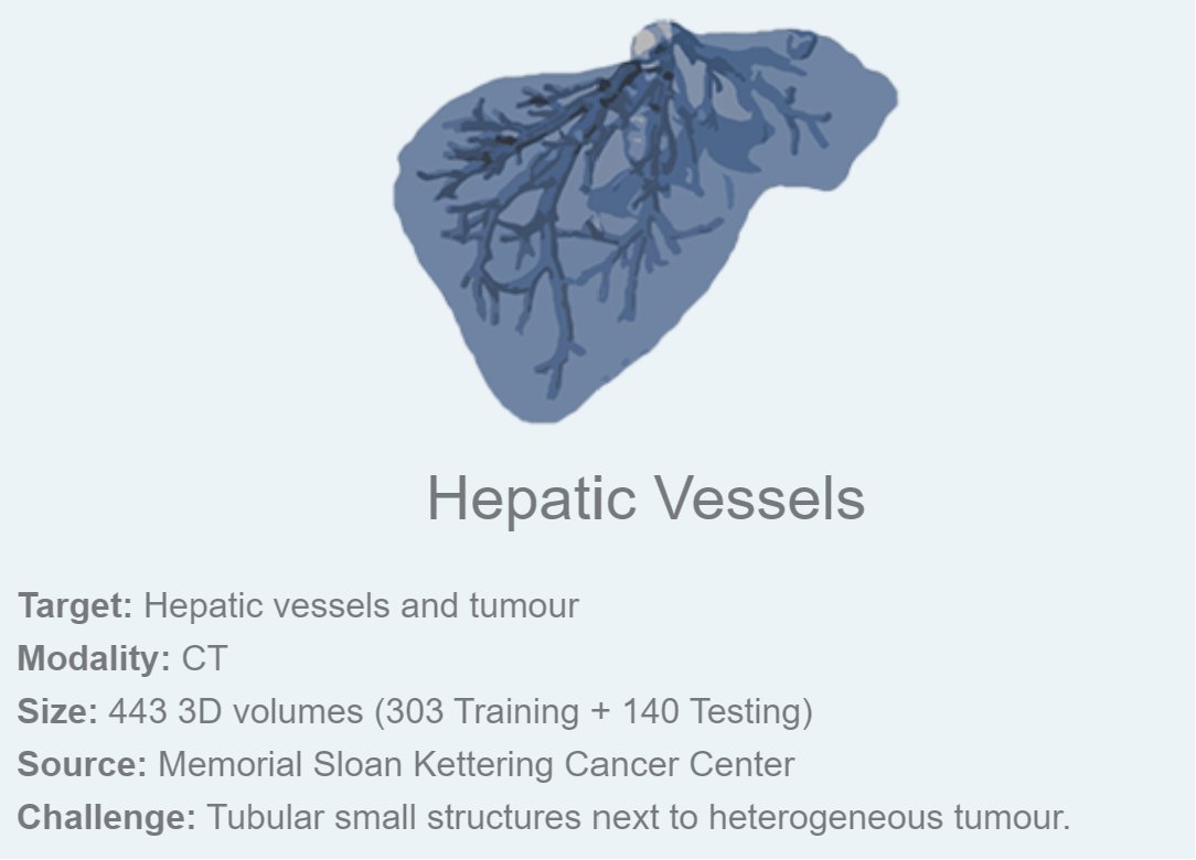 MSD_Hepatic_Vessel_0.png