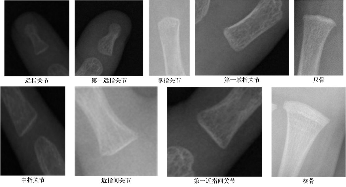可视化图片 1