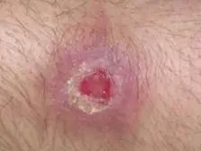 可视化图片 1