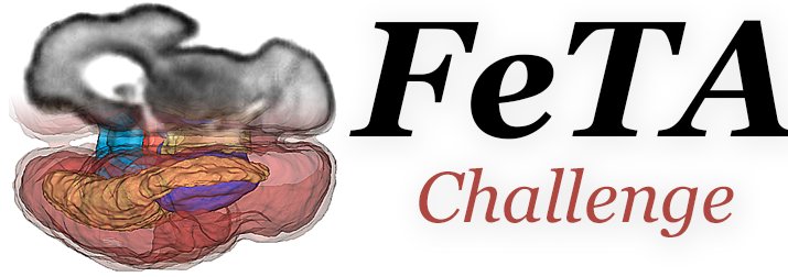 FeTA_0.png