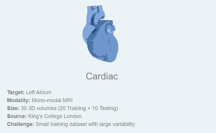 MSD_Cardiac_0.png