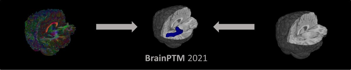 BrainPTM_0.png