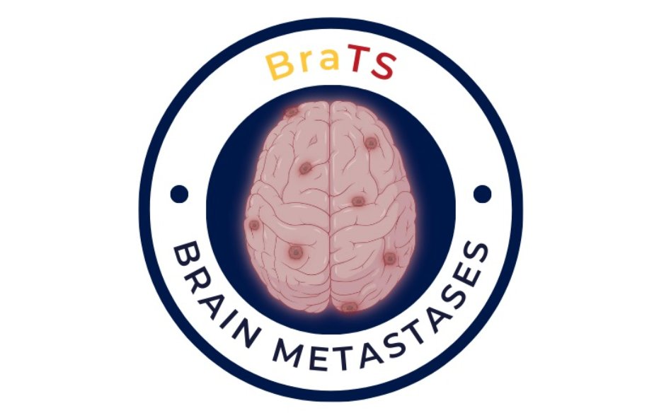BraTS2023-MET_0.png