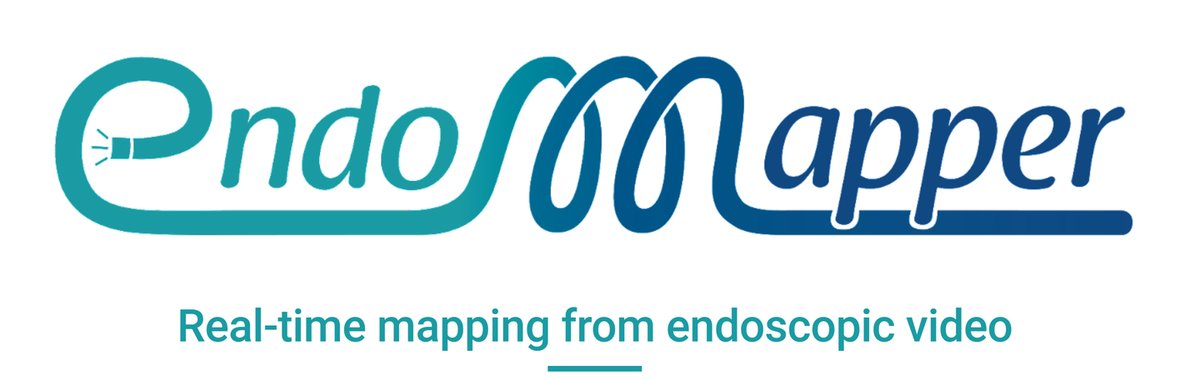 EndoMapper_0.png