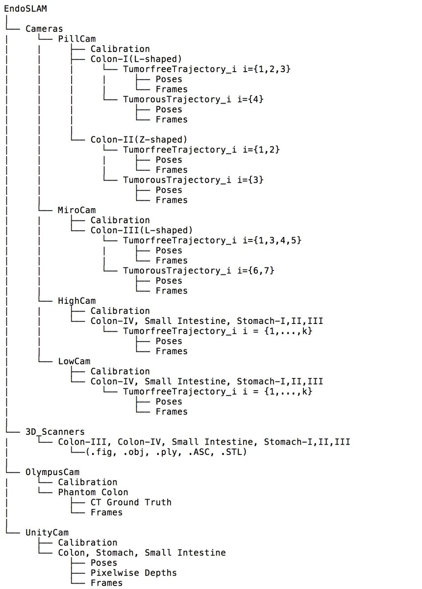 EndoSLAM_2.webp