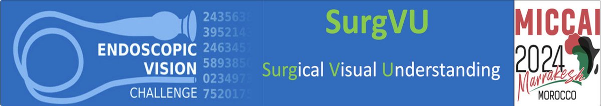 SurgVU24_0.png