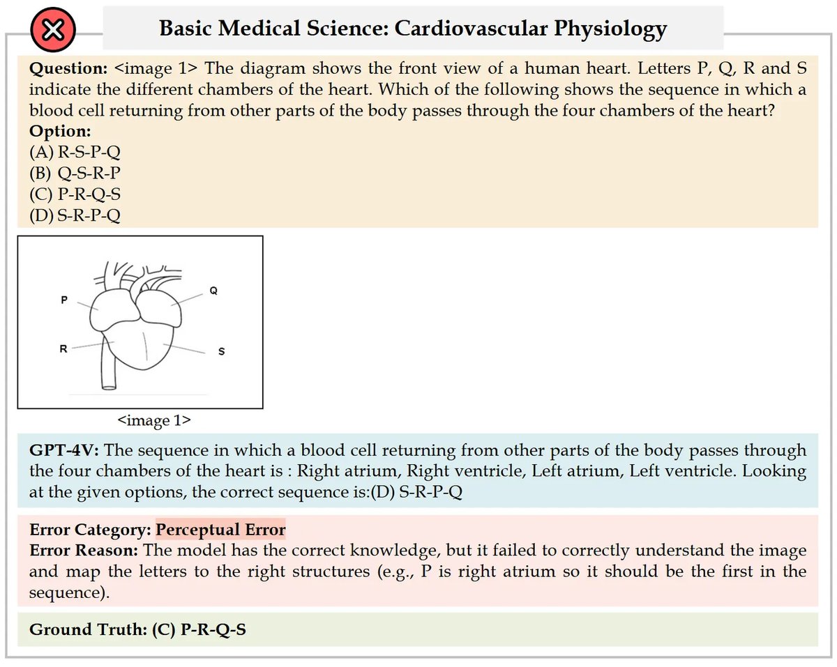 MMMUHealth&Medicine_8.webp