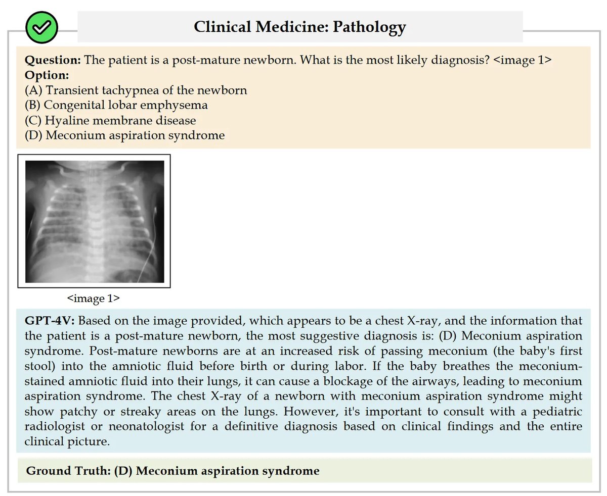 MMMUHealth&Medicine_9.webp