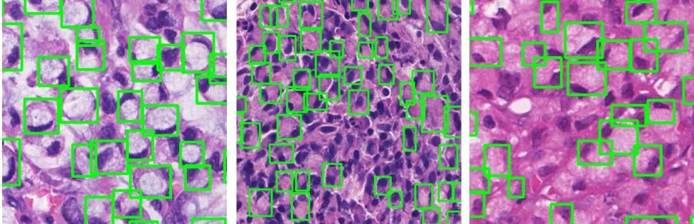 DigestPath2019_2.webp