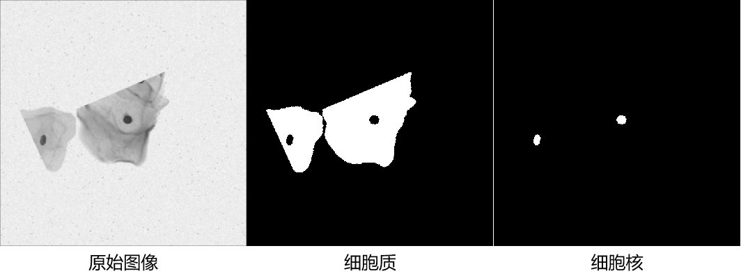 可视化图片 2