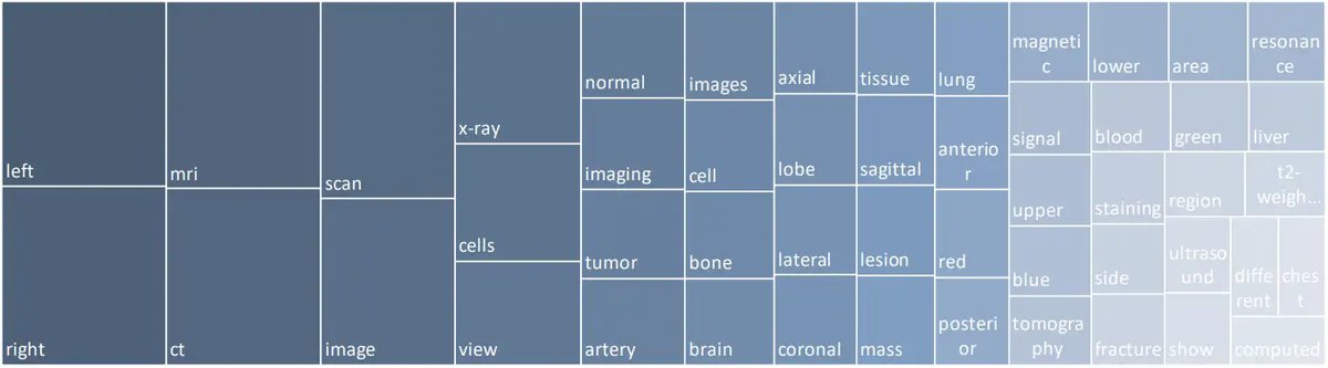 PMC-VQA_3.webp