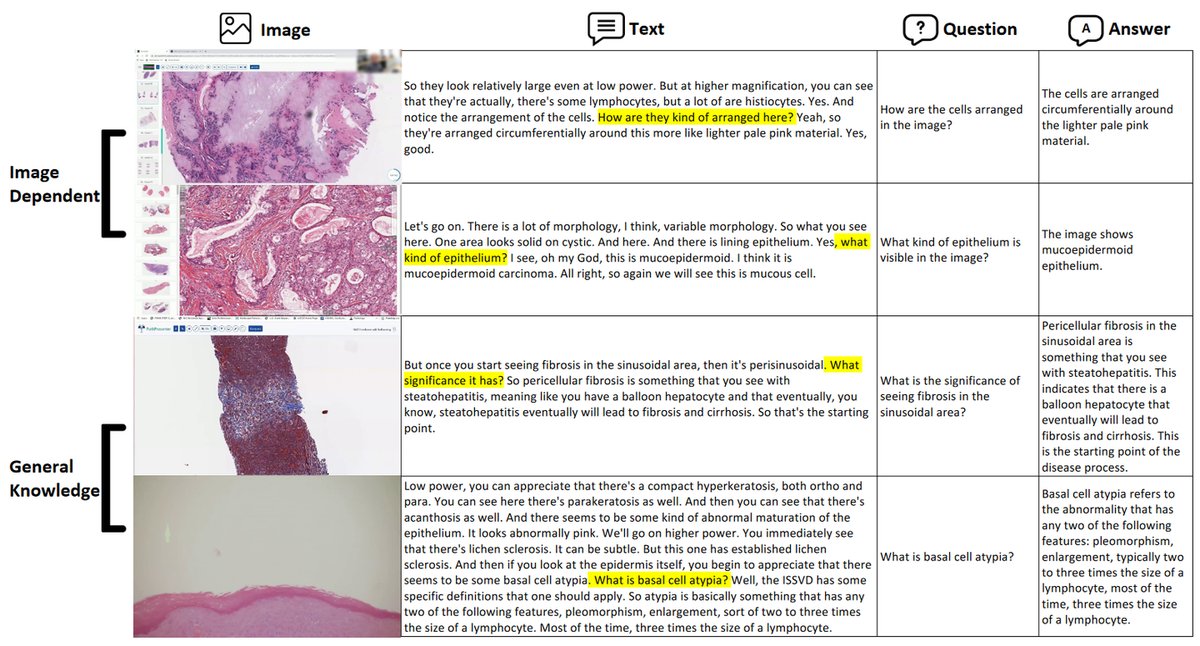 QUILT-VQA_0.png
