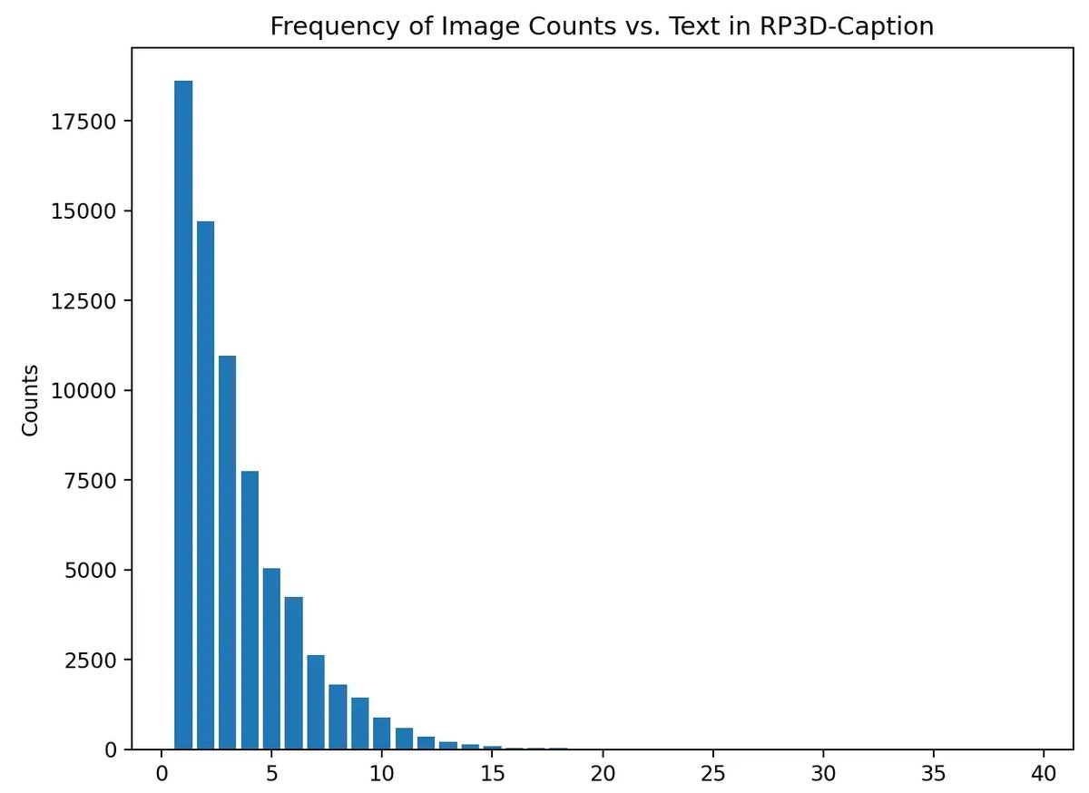 RP3D-Caption_2.webp