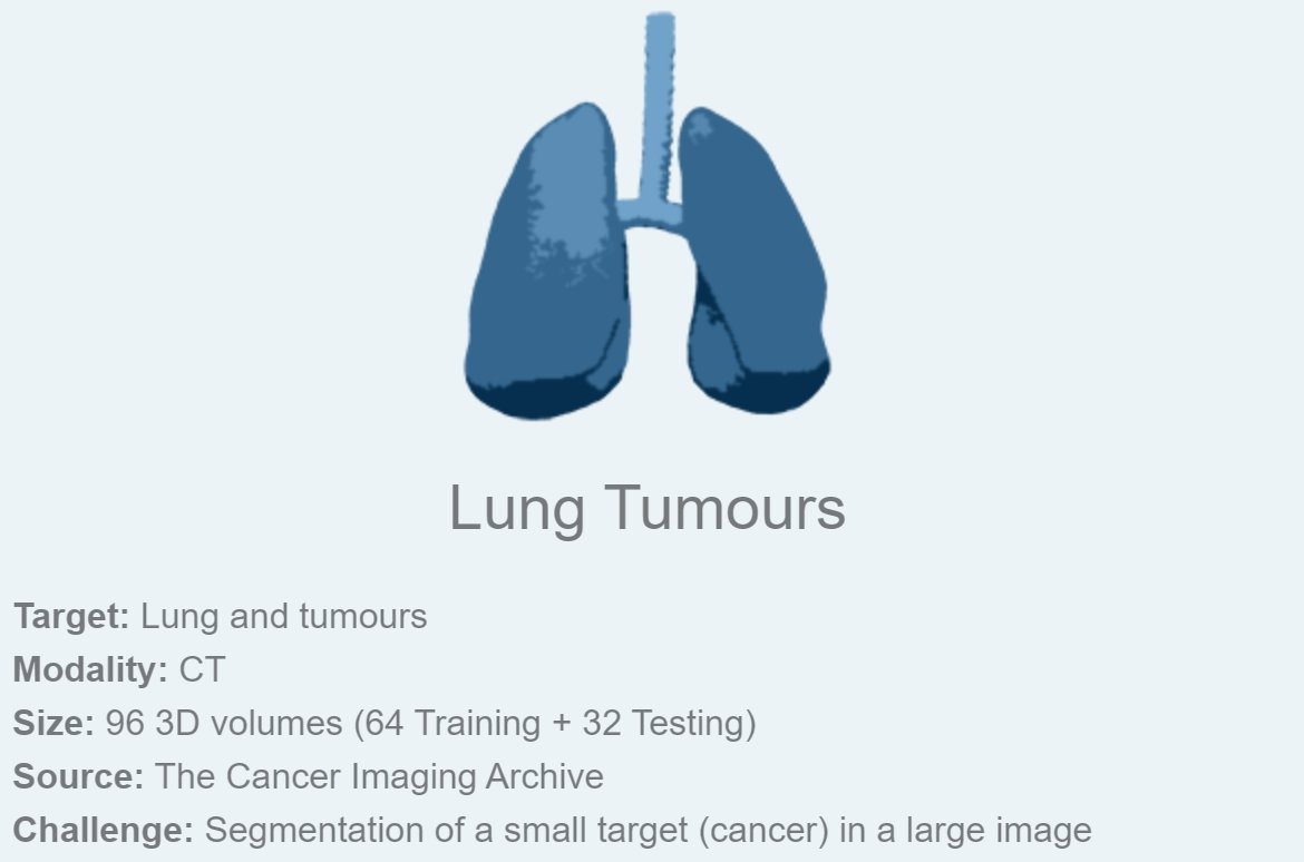 MSD_Lung_Tumours_0.png
