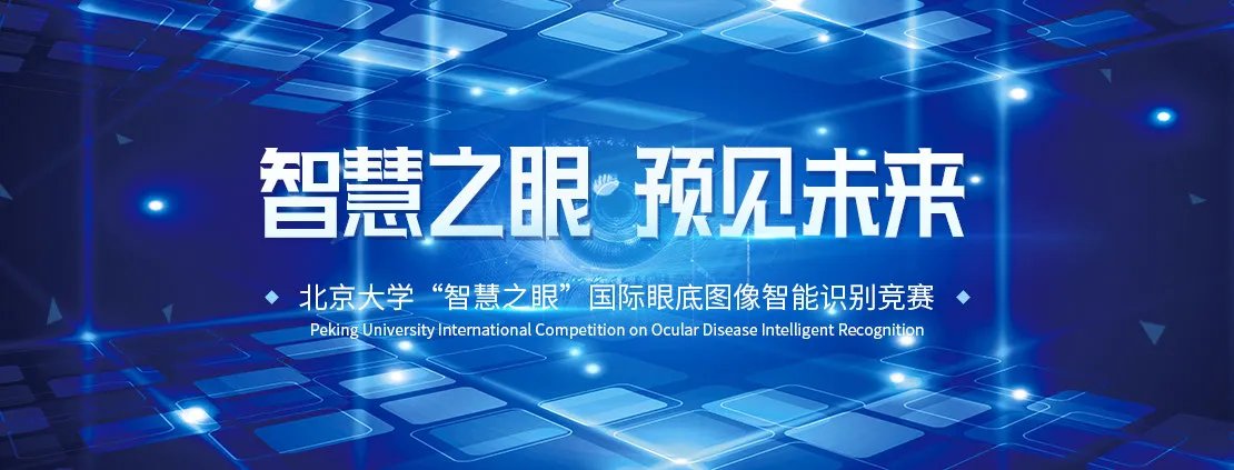 可视化图片 1