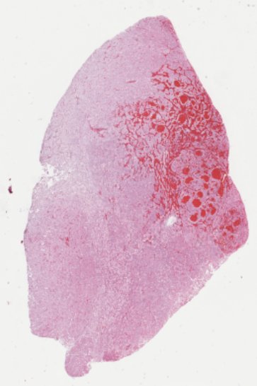 408f0bf6-dac1-495f-ae93-571a715f3e7d.png