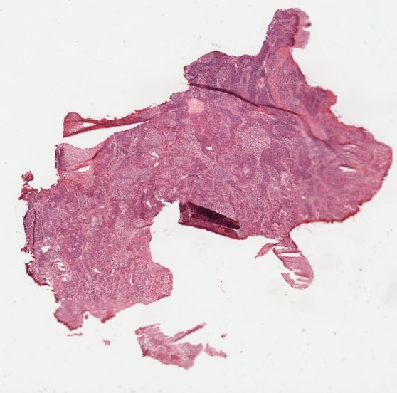 f542532a-033c-464e-aa87-4f168fd99580.png